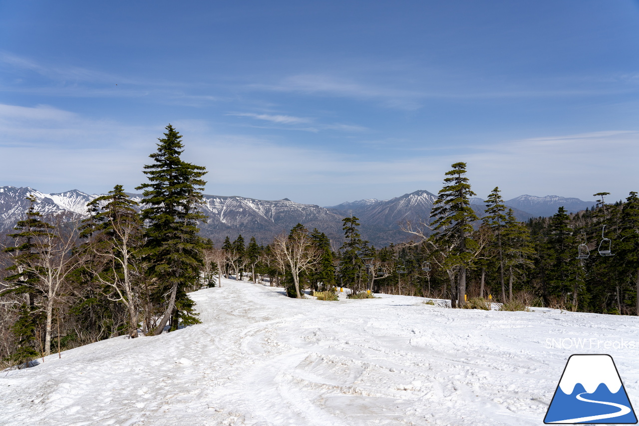 大雪山層雲峡・黒岳ロープウェイスキー場｜どんなに雪解けが早い春でも、北海道には『黒岳』があるという安心感。ありがとう、2023-2024。SNOW Freaks 今季最終レポート！